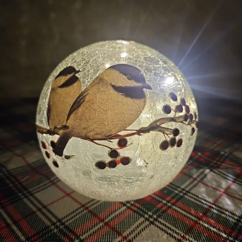 Crackle Glass Decorative Birds & Berries LED Lighted Holiday Globe Decor